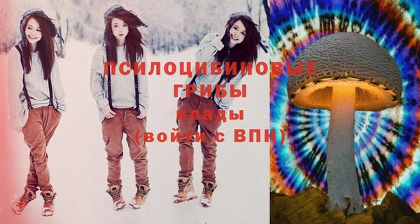 соль ск Володарск