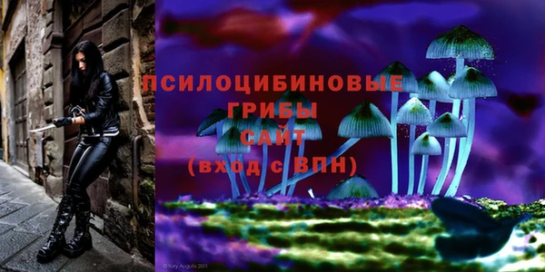 дживик Волоколамск