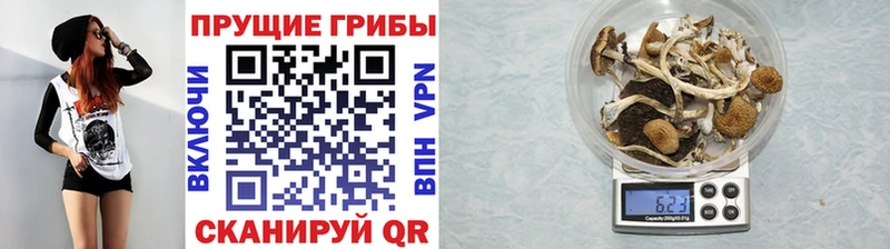 Галлюциногенные грибы MAGIC MUSHROOMS  Купить  Невельск 